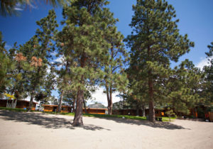 Cabins at Ponderosa Point Resort