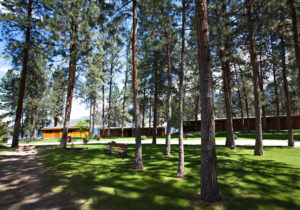 Cabins at Ponderosa Point Resort