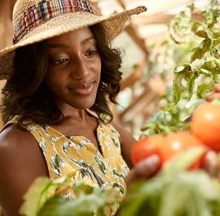 Farmers market Okanagan