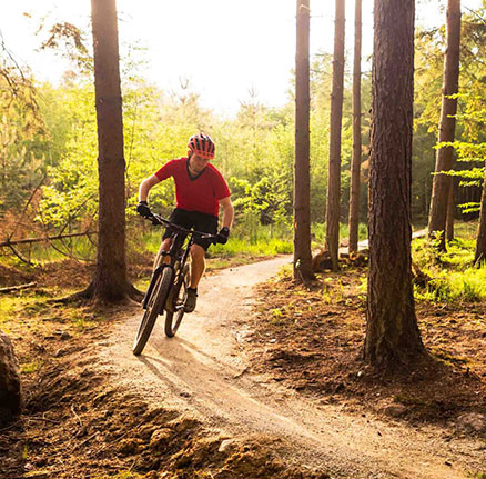 Mountain Bikingin the Okanagan