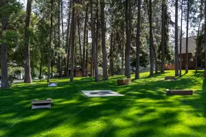 Ponderosa Point Resort Grounds - Okanagan BC