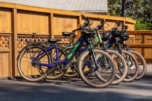 Ponderosa Point Resort Bike rack - Okanagan BC