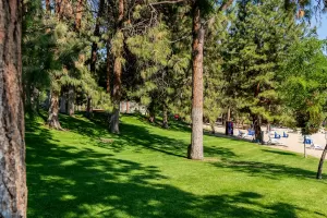 Ponderosa Point Resort Grounds - Okanagan BC