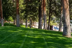 Ponderosa Point Resort Grounds - Okanagan BC