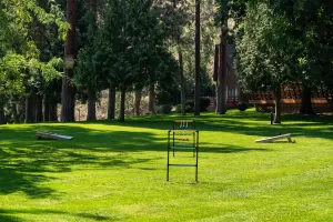 Ponderosa Point Resort Grounds - Okanagan BC
