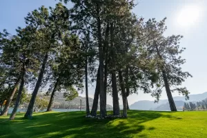 Ponderosa Point Resort Grounds - Okanagan BC