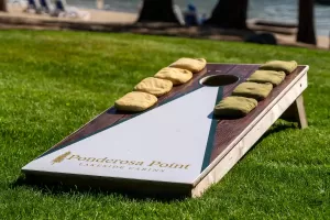 Ponderosa Point Resort Playground - Okanagan BC