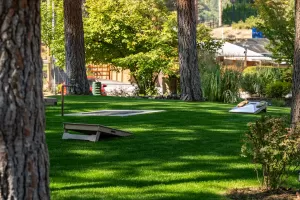 Ponderosa Point Resort Playground - Okanagan BC